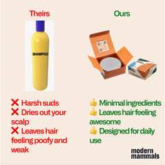 Modern Mammals Light fragrance-free visual emphasizes product simplicity.