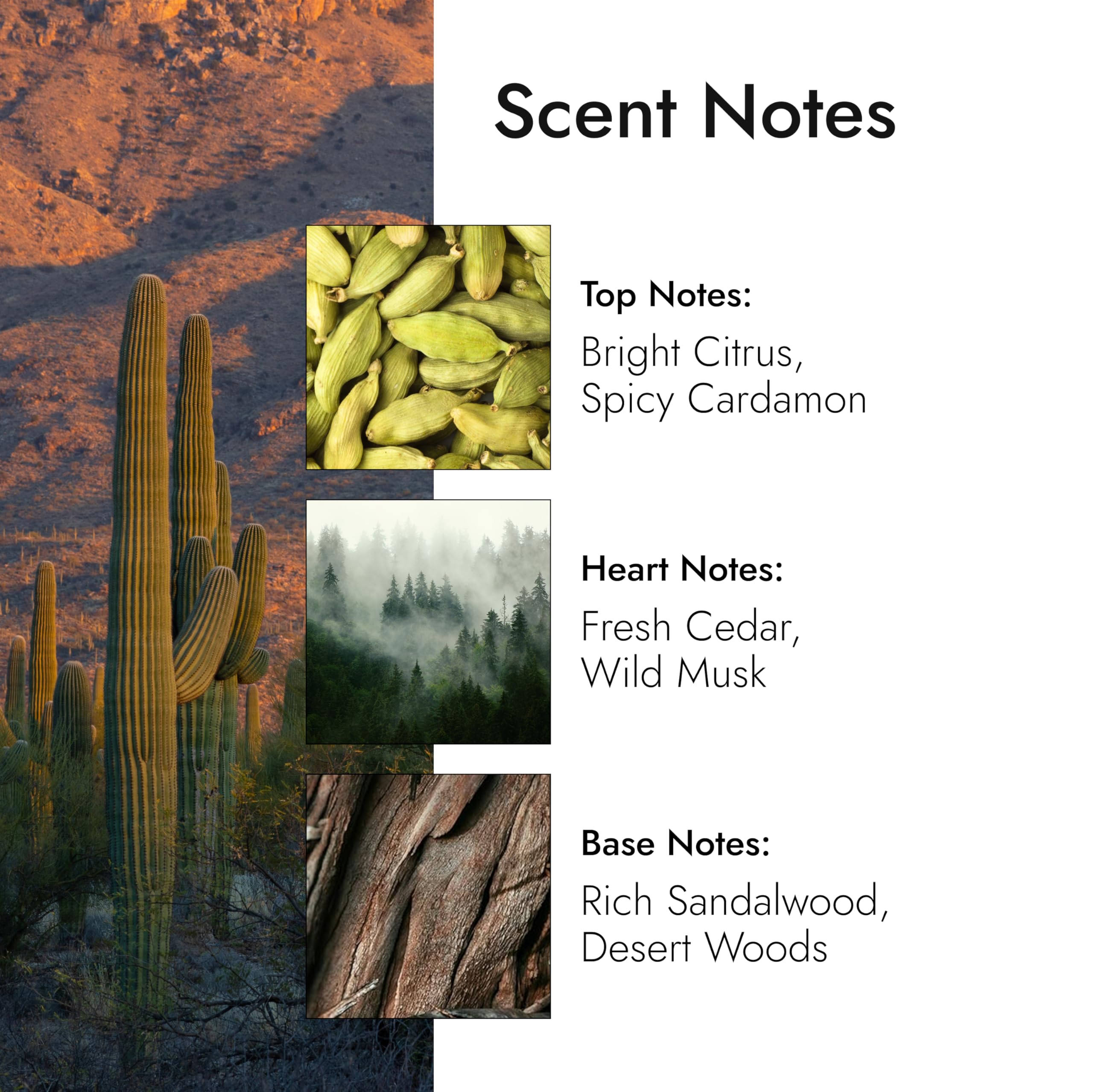 Modern Memory Western Santal cardamom spice accent on first spray for a fresh inviting vibe.