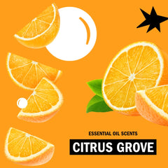 Molly's Suds Citrus Grove bottle in sink setting for daily hand cleansing