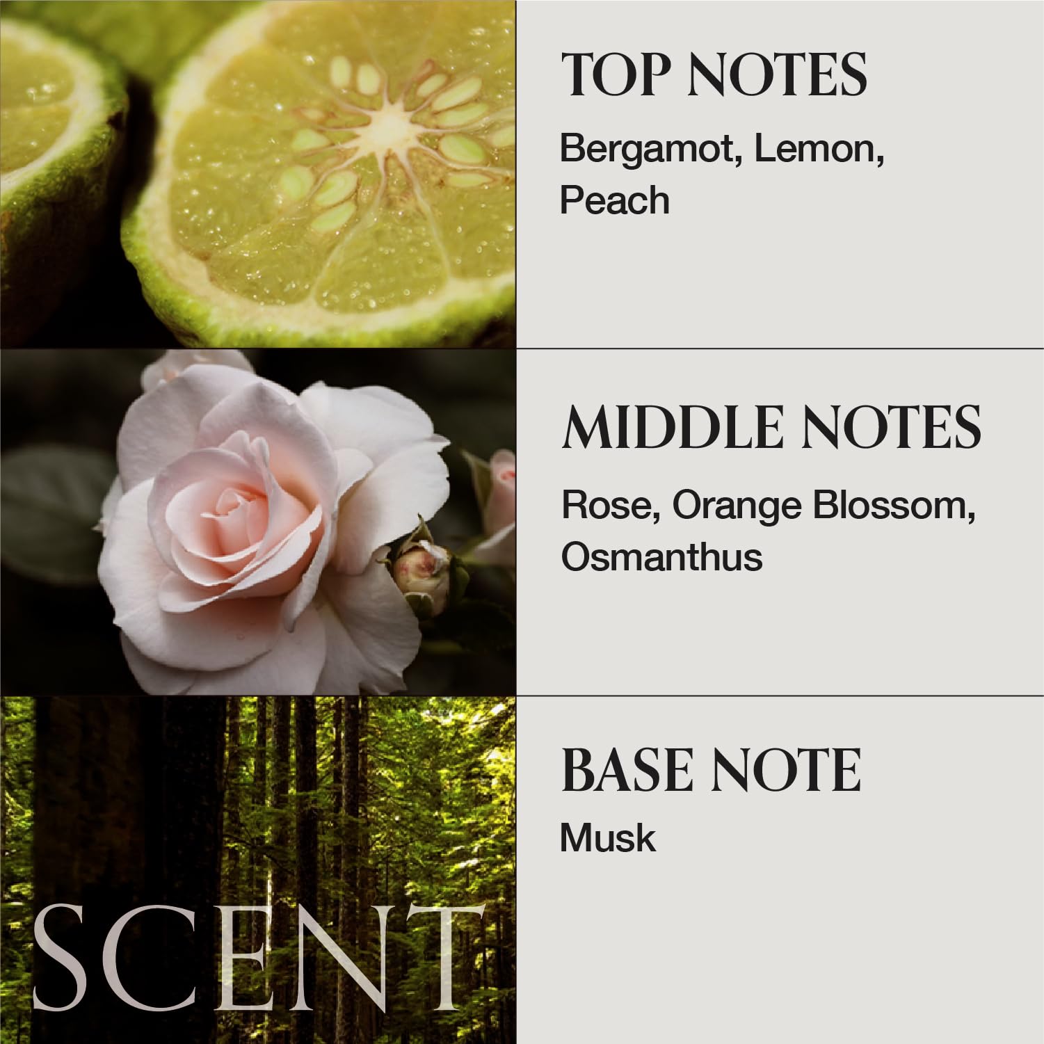 Packaging close-up showcasing MONCLOS clean beauty ethos and sustainable design.