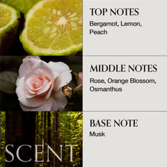 Packaging close-up showcasing MONCLOS clean beauty ethos and sustainable design.