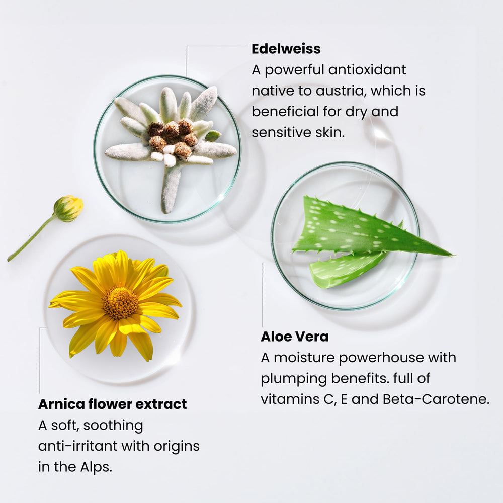 Monika Blunder Beauty Blunder Cover Travel-size packaging ideal for on-the-go touch-ups