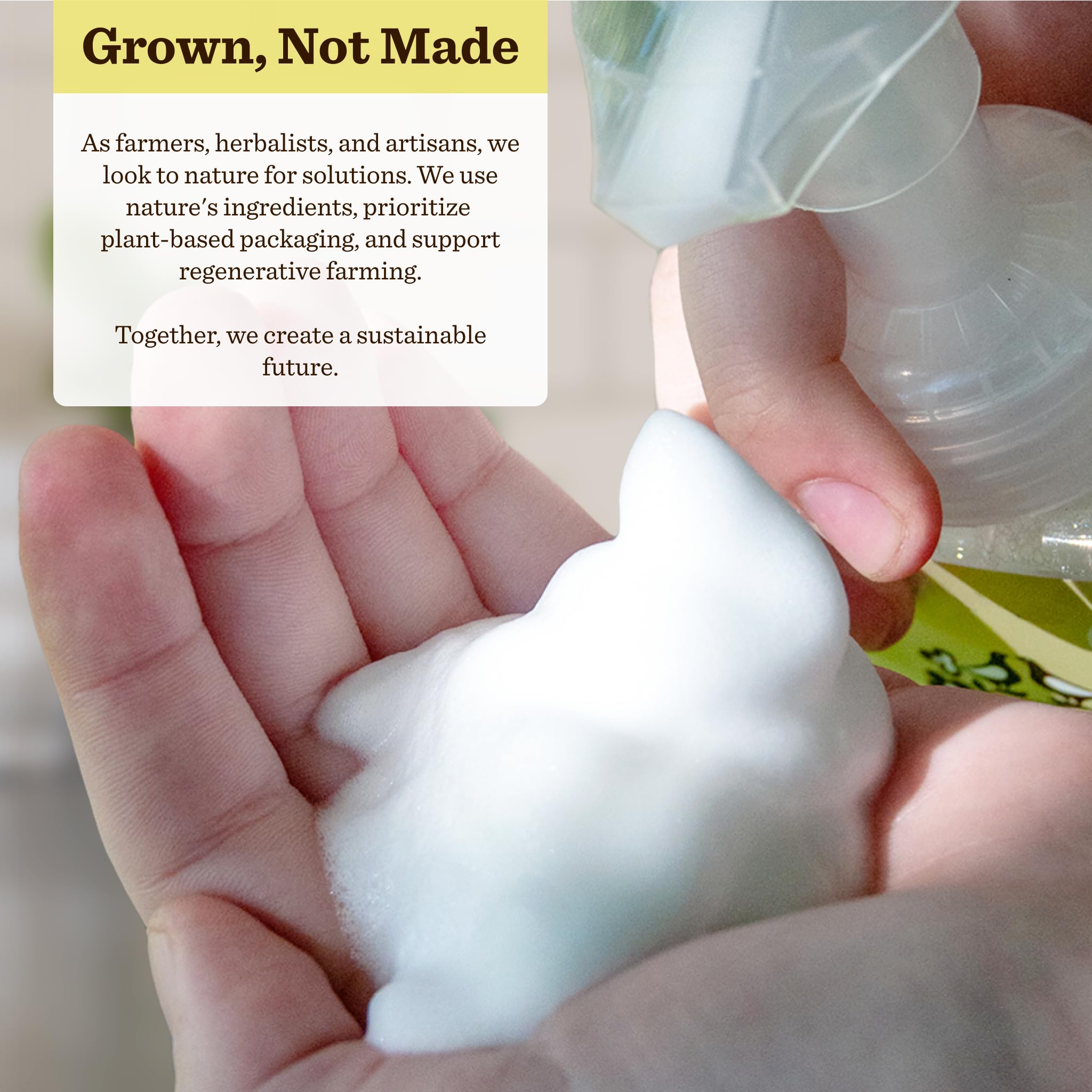 Moon Valley Organics ingredients list highlights vegan, non-GMO, gluten-free formula