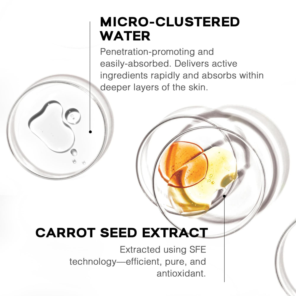 MORITEK carrot seed extract highlight indicating antioxidant support for firmness
