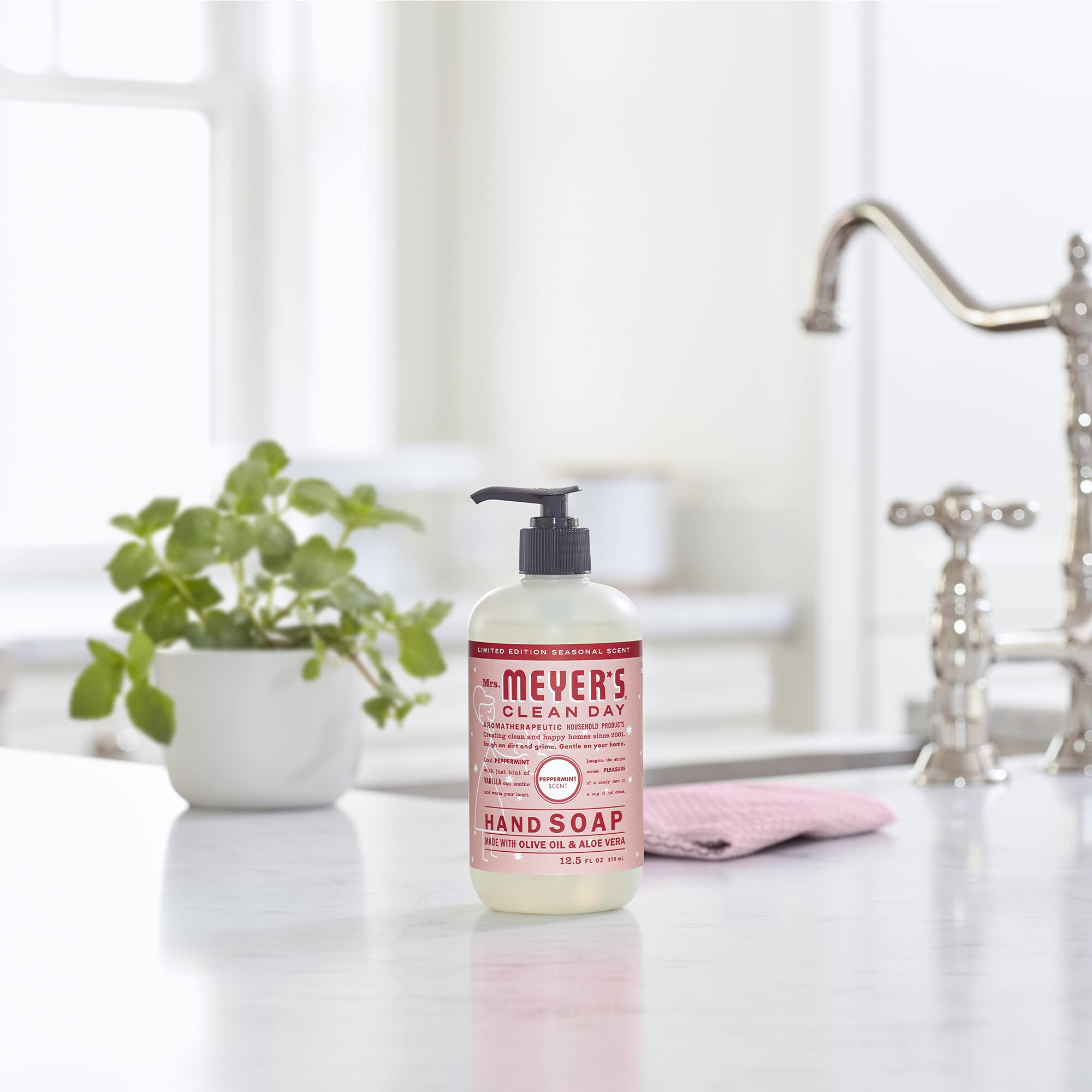 Kitchen sink scene with peppermint hand soap ready for use