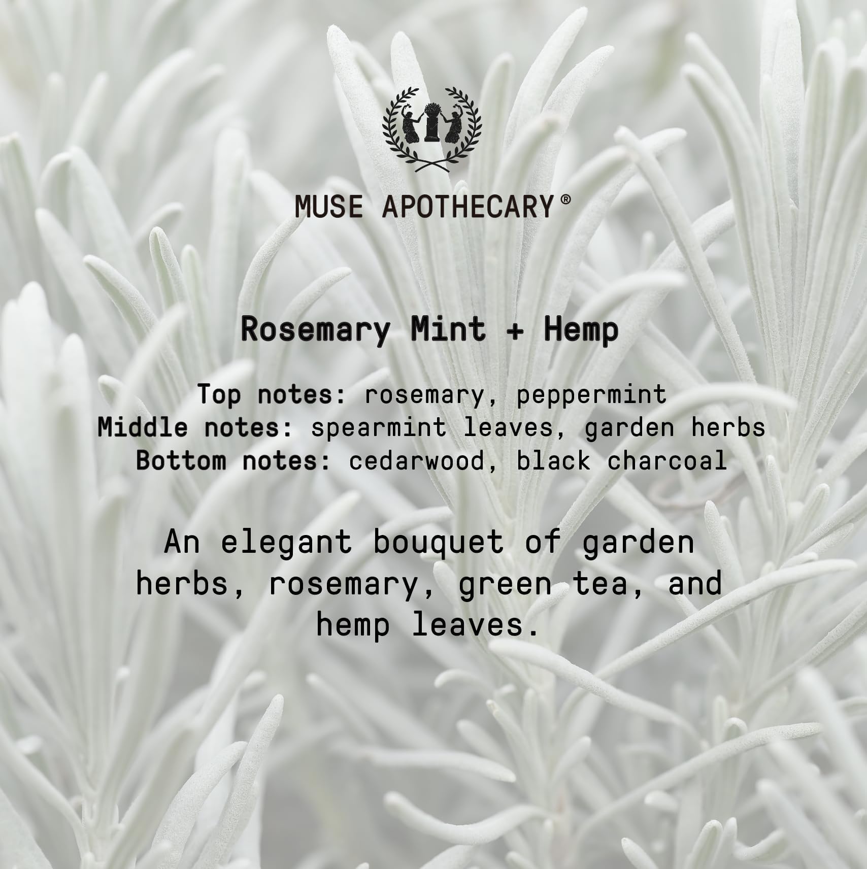 Muse Apothecary Hand Ritual aromatherapy-inspired wash for elevated daily rituals.