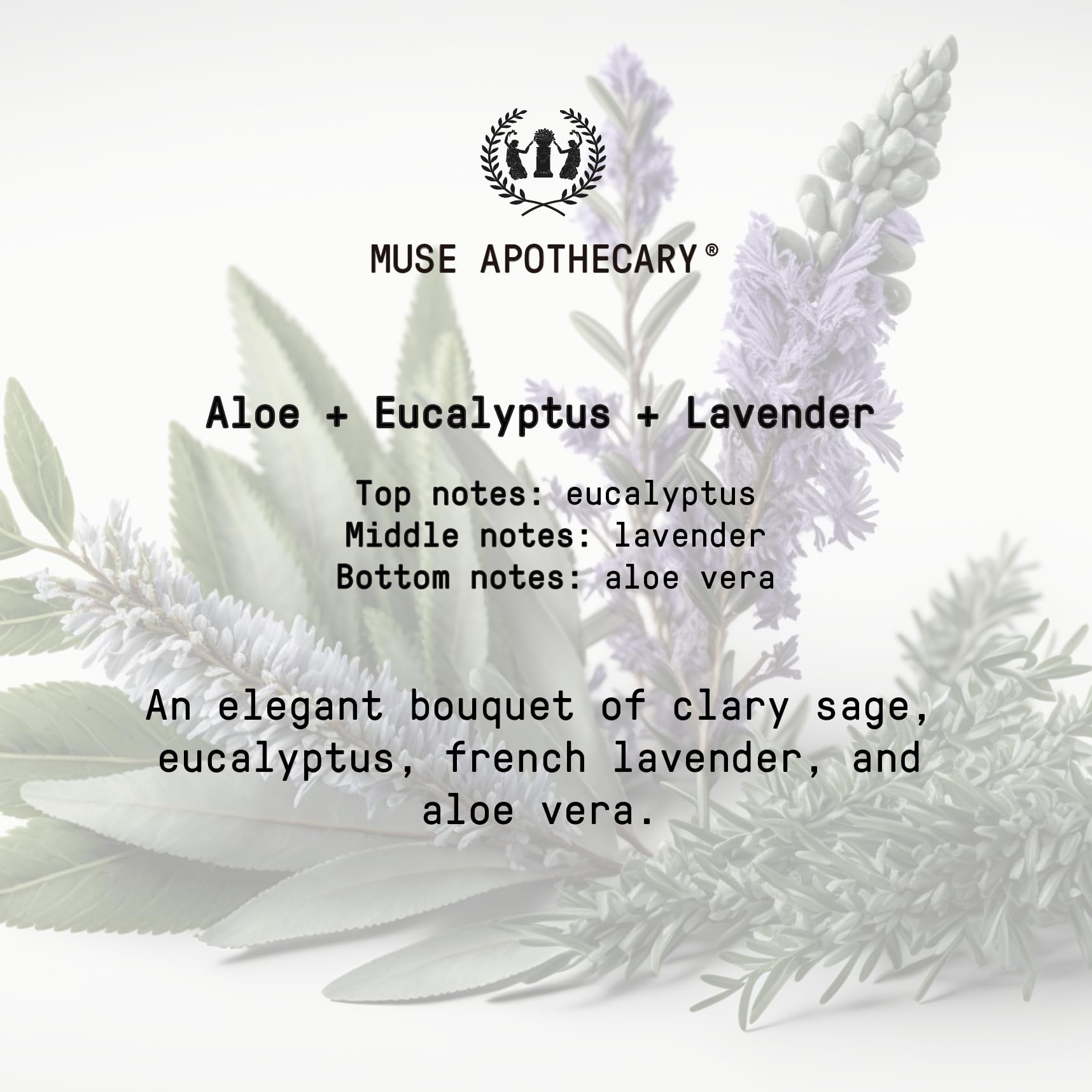 Muse Apothecary Hand Ritual gift-pack ready conveys thoughtful self-care or present ideas.