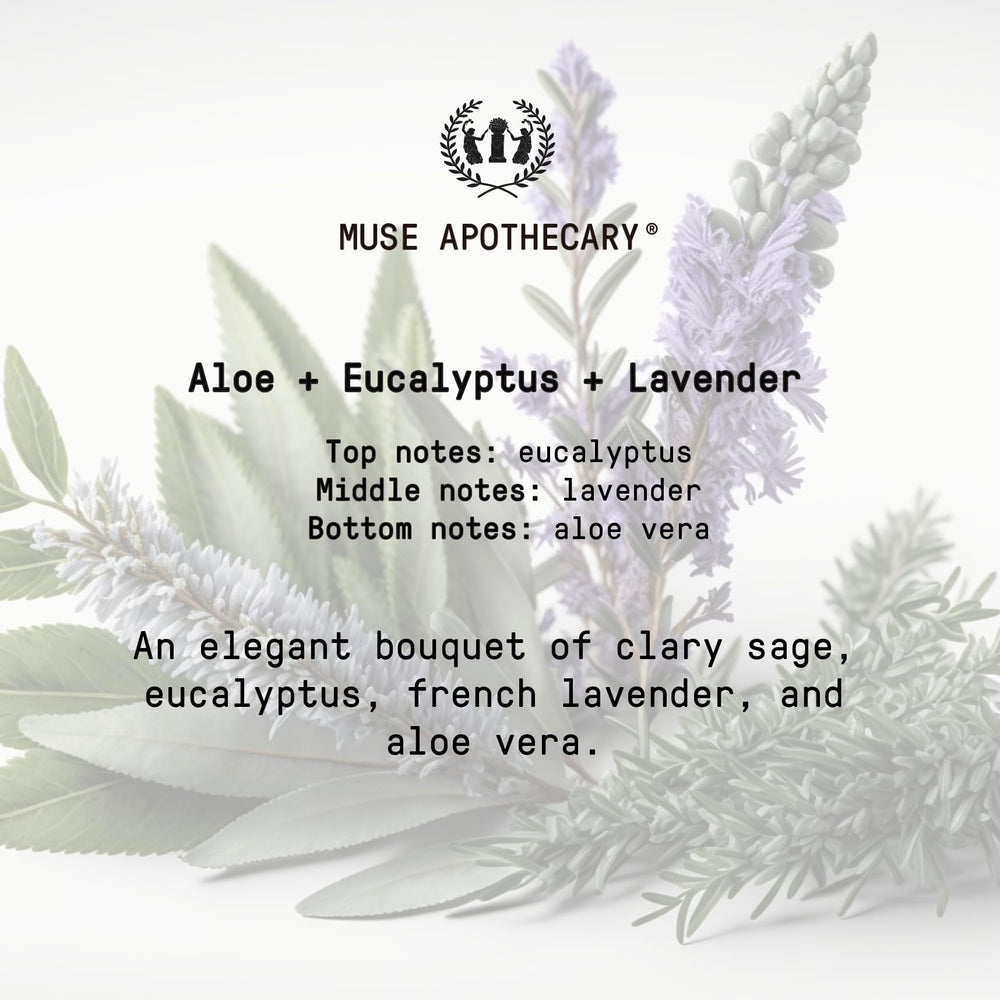 Muse Apothecary Hand Ritual gift-pack ready conveys thoughtful self-care or present ideas.