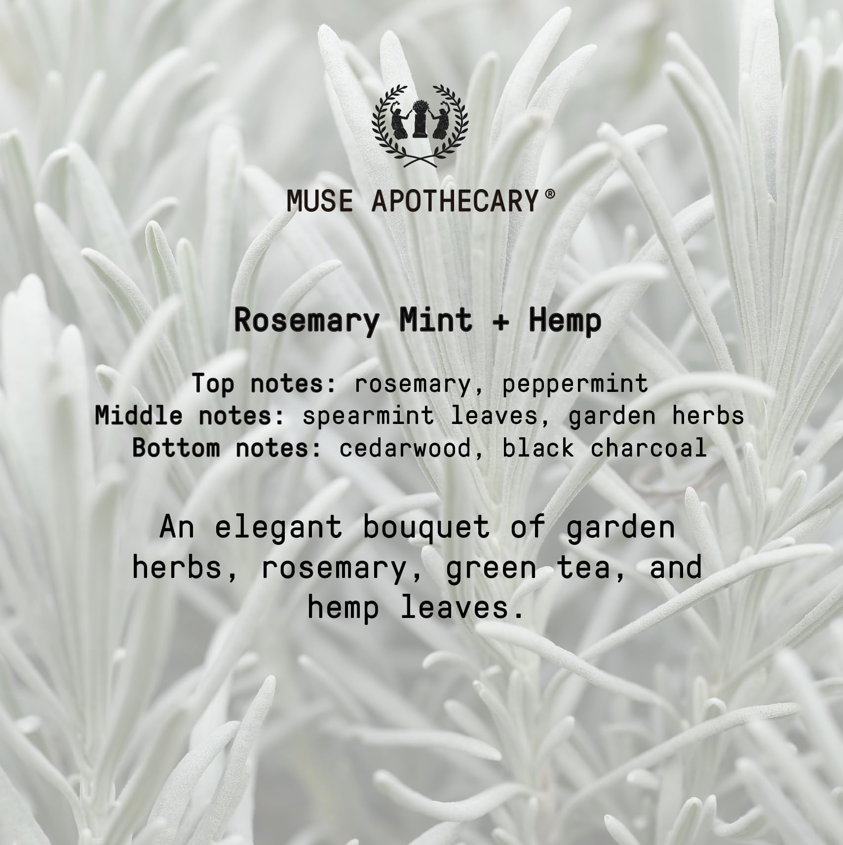 Muse Apothecary Hand Ritual gift-ready packaging suits thoughtful presents.