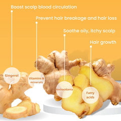 Muun Ginger shampoo bar Pack 3 close-up showing ginger-infused formula.