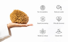 Naroa Soft Natural Sponge X Large in shower routine for smooth skin