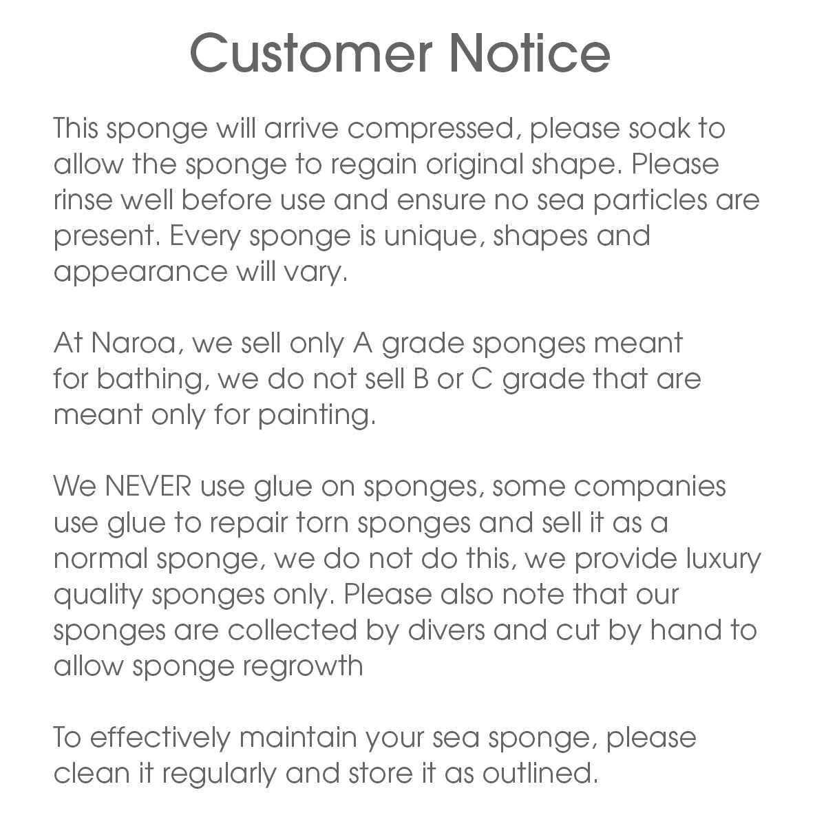 Naroa Soft Natural Sponge X Large ready for daily skincare