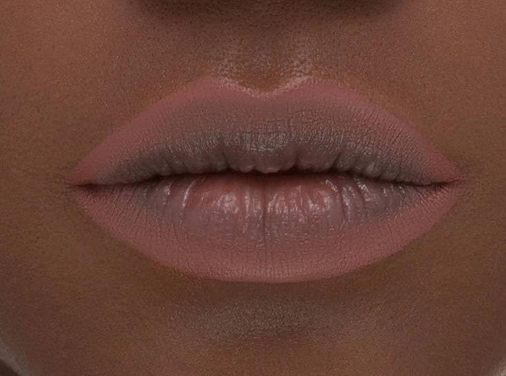 Natasha Denona Need A Nude Lip Crayon P3 Nina on lips with creamy matte finish.