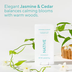 Native Jasmine & Cedar scent close-up conveys soft fragrance experience.