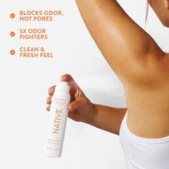 Clean ingredients iconography with plant-based conditioners and odor neutralizers