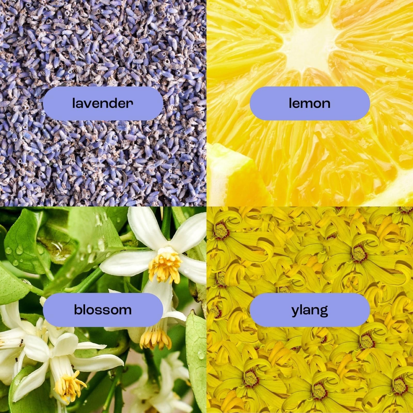 Natural Inspirations Lavender Ylang fragrance notes with lavender and lemon