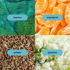 Natural Inspirations ExSeed antioxidant close-up highlights nourishing seed oils.