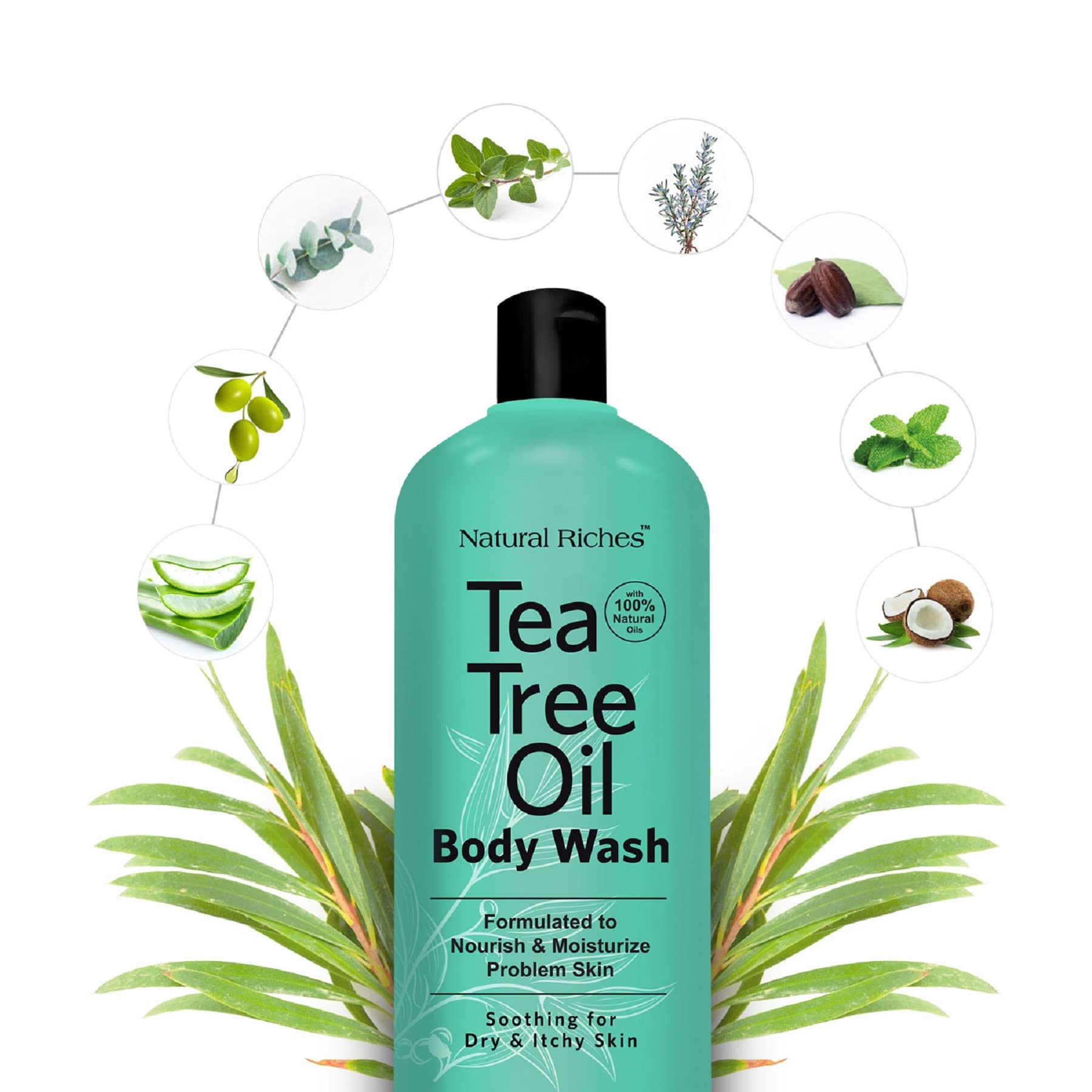Ingredients of Natural Riches Tea Tree Body Wash with plant oils and aloe