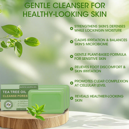 Natural Tea Tree Soap Bar packaging set highlights vegan formula and daily cleansing benefits.