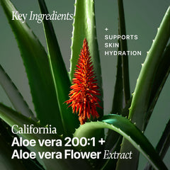 Nature Republic Aloe Vera Essence gel texture feels fresh on skin.