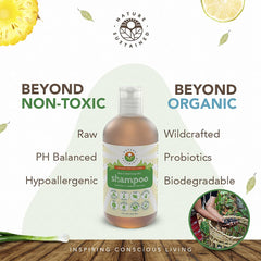 Nature Sustained shampoo soapberry lather forms a gentle foam for sensitive scalps