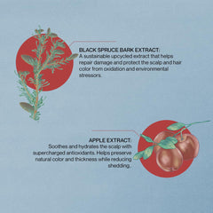 NatureLab.TOKYO SaiSei ingredients highlight fruit seed oil for nourishing care.