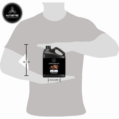 Naturevibe Botanicals Coffee Bean Oil cold-pressed capture signaling quality and aroma.