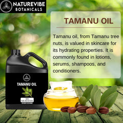 Naturevibe Botanicals Tamanu Oil in a glass resealable jar