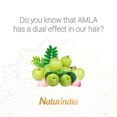Naturindia Amla bottle with leaves emphasizes organic herbal origins.