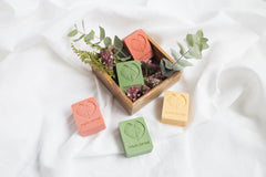 Naturtint shampoo bar cinnamon travel case, ready for on-the-go hair care.