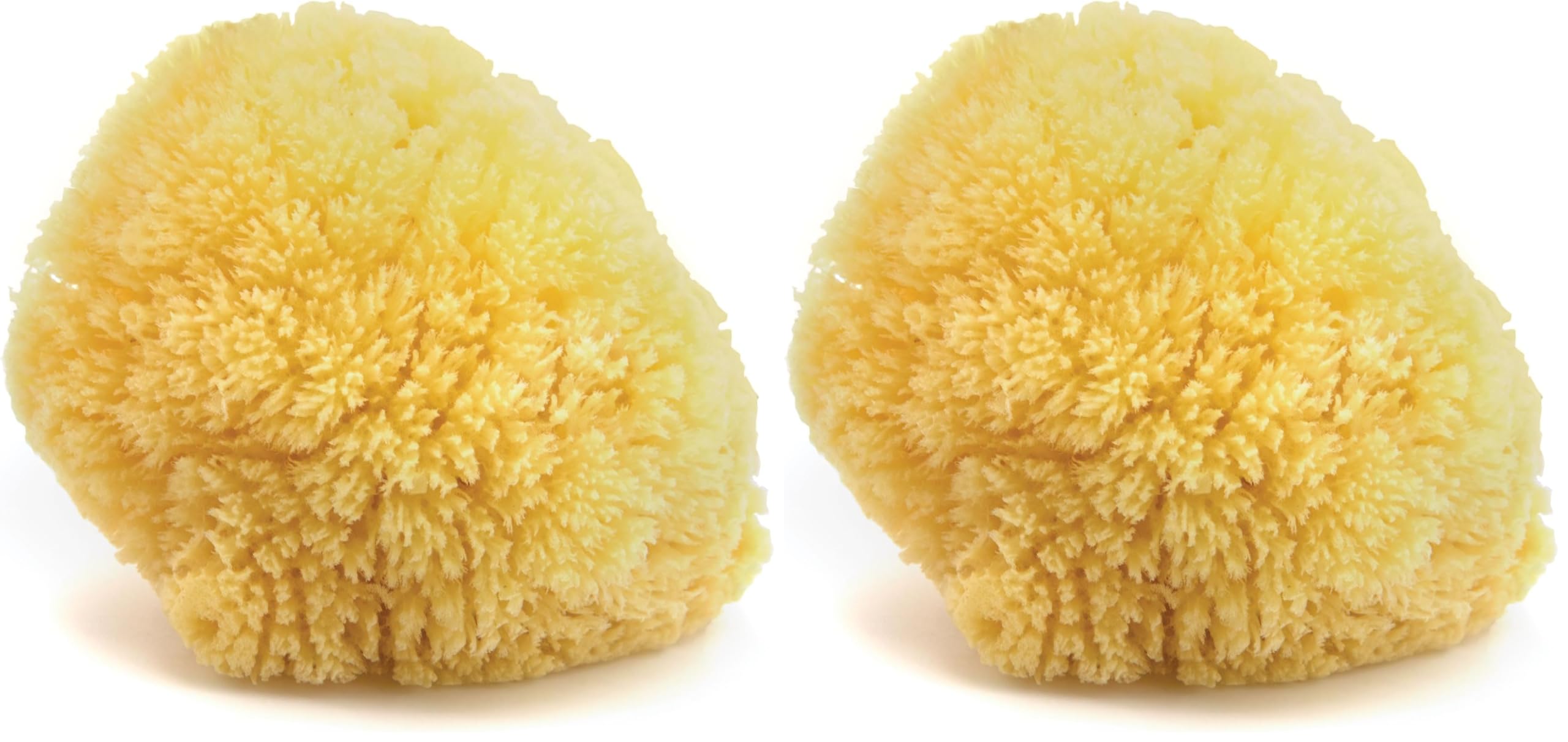 Neptune Caribbean Sea Sponge hand-cut large pack, natural and soft for daily bathing