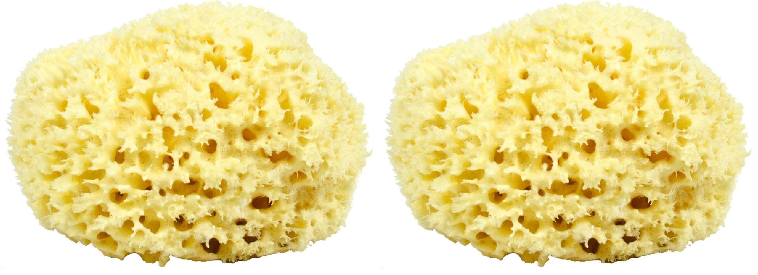 Neptune Natural Sea Wool Sponge, hand-cut 7-inch pack 2 for gentle daily cleansing.