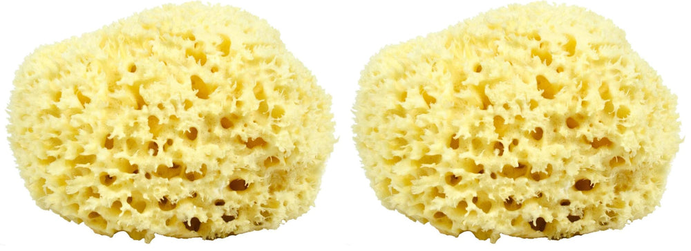 Neptune Natural Sea Wool Sponge, hand-cut 7-inch pack 2 for gentle daily cleansing.