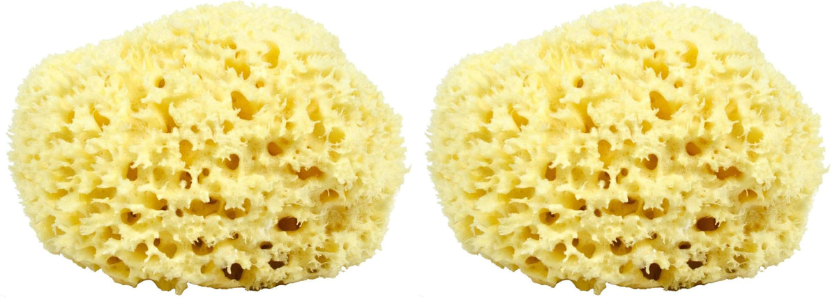 Neptune Natural Sea Wool Sponge, hand-cut 7-inch pack 2 for gentle daily cleansing.