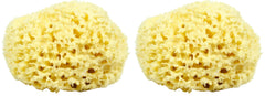 Neptune Natural Sea Wool Sponge, hand-cut 7-inch pack 2 for gentle daily cleansing.