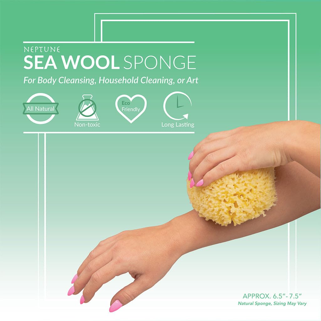 Neptune Natural Sea Wool Sponge jumbo size 7-inch, ideal for full-body cleansing.