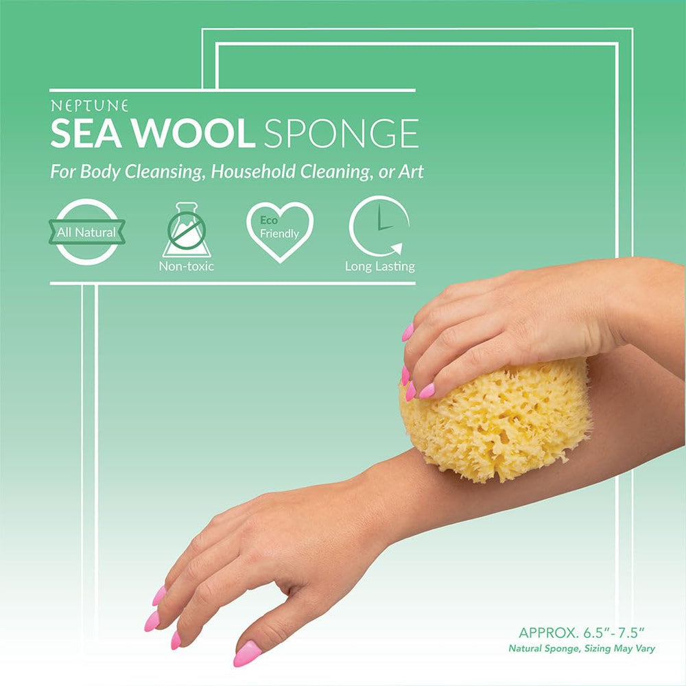 Neptune Natural Sea Wool Sponge jumbo size 7-inch, ideal for full-body cleansing.