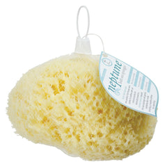 Neptune Natural Sea Wool Sponge two-pack, convenient for home or travel.