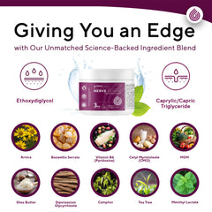 NERVE RENEW application scene shows daytime and bedtime use.