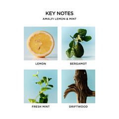 NEST New York Amalfi Lemon & Mint label on premium liquid soap bottle