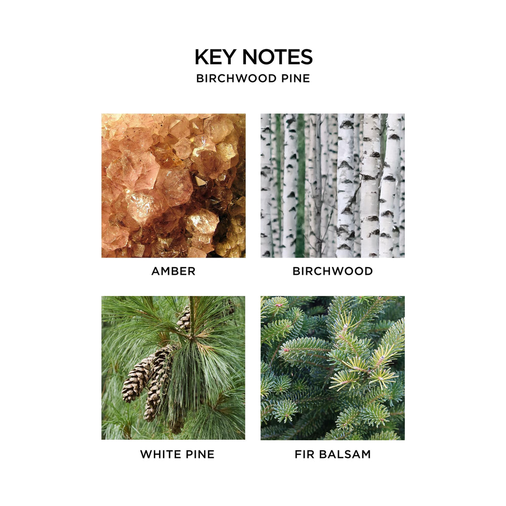 NEST New York Birchwood Pine gift-ready bottle, a seasonal addition to homes and self-care rituals.