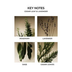 NEST New York liquid soap foam with herbaceous notes during a spa-like lather.