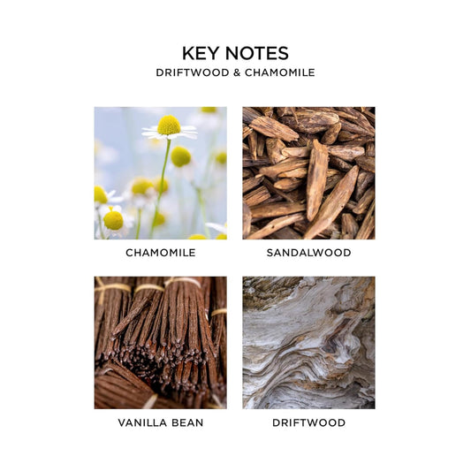 Nest New York Driftwood and Chamomile label closeup highlighting earthy, relaxing notes.