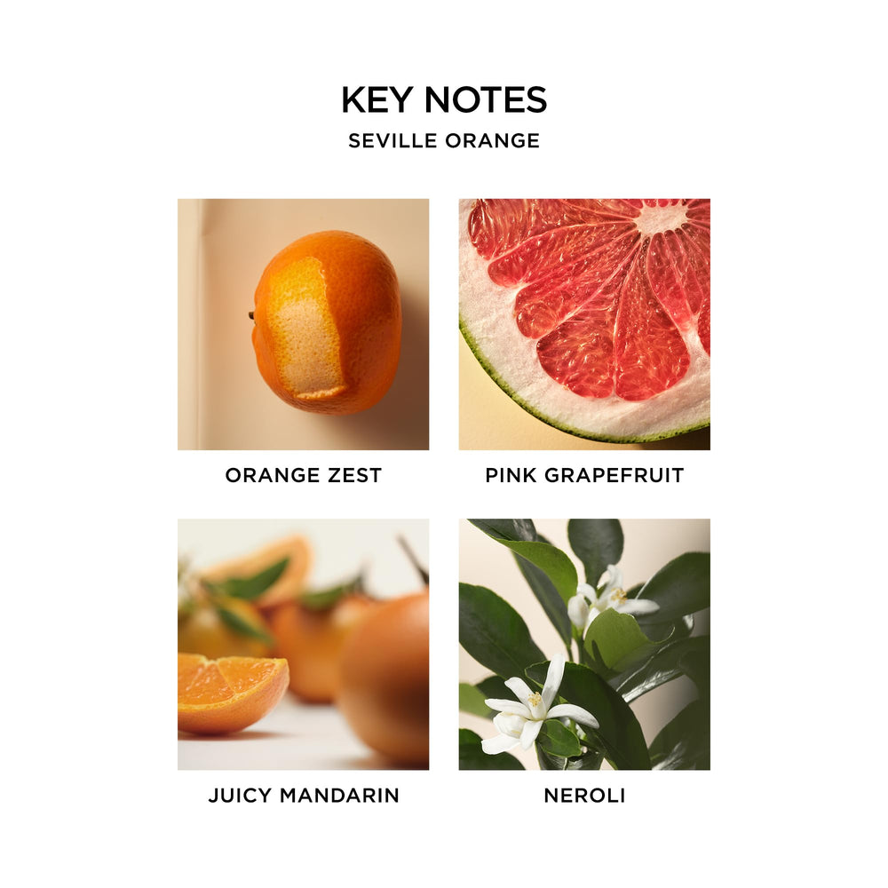 NEST New York Seville Orange Body Mist packaging emphasizes vegan, cruelty-free beauty collection.