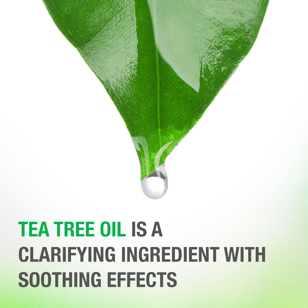 Scalp-area application insight for refreshed feel during routine