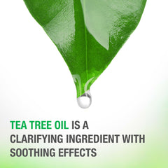 Scalp-area application insight for refreshed feel during routine
