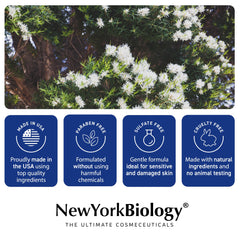 New York Biology Tea Tree Mint Body Wash pack of 2 shown for value and convenience.