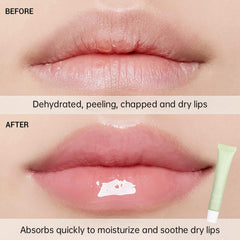Nobeka Lip Butter Kit glossy lips closeup with soft shine