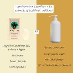 Nopalera Balance coastal scent evokes ocean breeze and cactus notes.