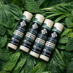 Novana Naturals lip balm texture with mango butter melts on contact
